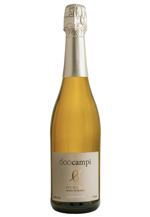 Projekt bez nazwy (34).png